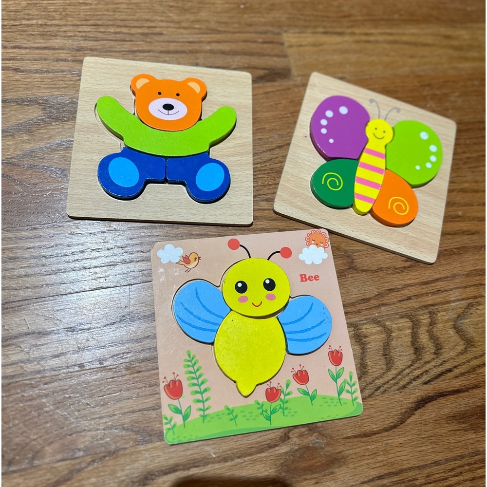 Montessori Style Puzzles